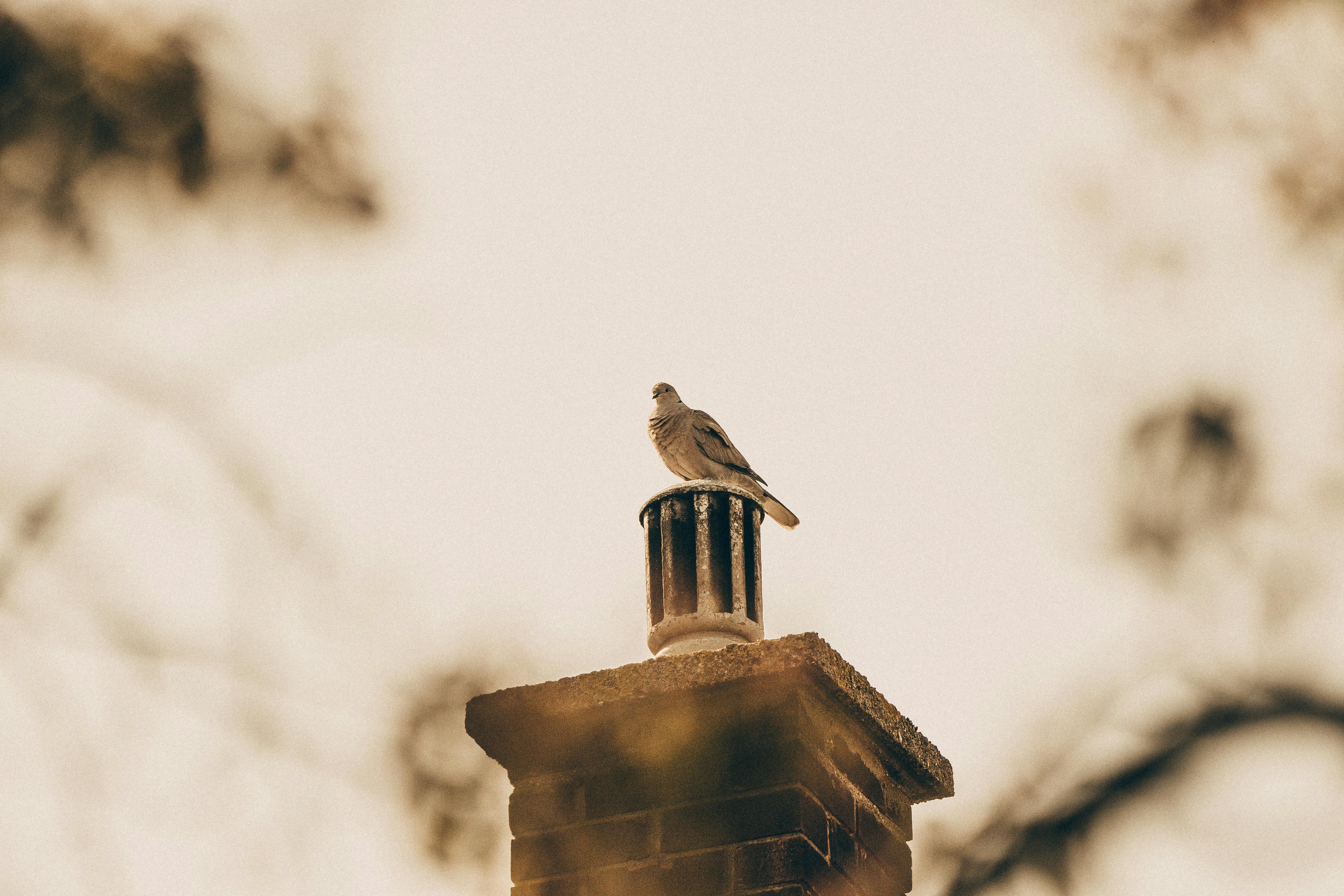 Professional Chimney Cap and Damper In Opa-Locka Florida